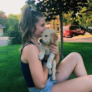 Meet your Posher, Baile